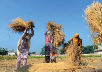 Maryam pays tribute to the strength, sacrifices, and tireless efforts of Punjab's rural women.