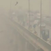 Punjab government enforces 'Green Lockdown' in Lahore to combat smog