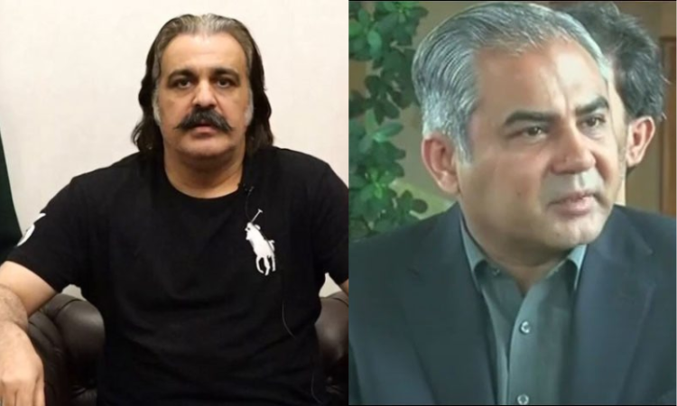 Ali Amin Gandapur is not in our custody, Mohsin Naqvi