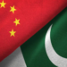 Pakistan calls China’s concerns over safety of citizens "perplexing"