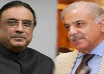 Shehbaz meets President Zardari to discuss constitutional amendments