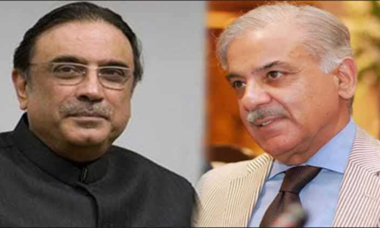 Shehbaz meets President Zardari to discuss constitutional amendments