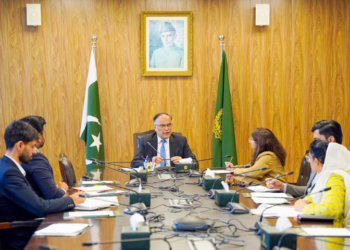 Ahsan Iqbal directs officials to identify sites for Model SEZs to host Chinese industries