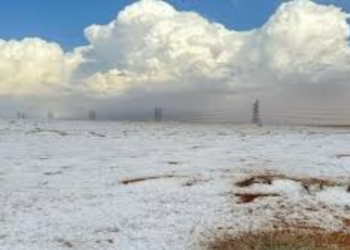 First-ever snowfall makes Saudi Arabian desert a winter wonderland