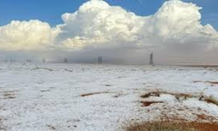 First-ever snowfall makes Saudi Arabian desert a winter wonderland