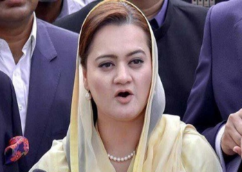 Detox Punjab campaign to improve smog conditions: Maryam Aurangzeb