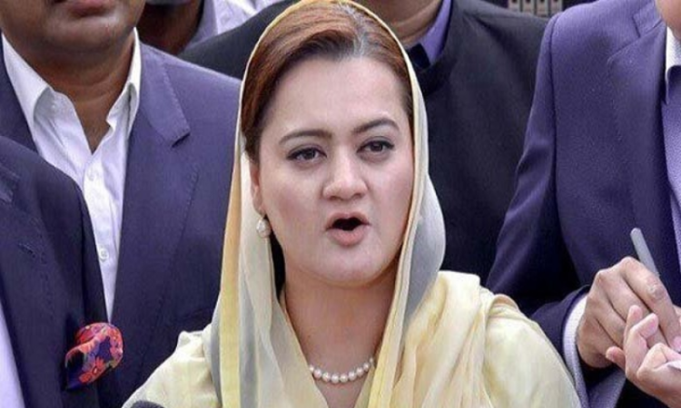 Detox Punjab campaign to improve smog conditions: Maryam Aurangzeb