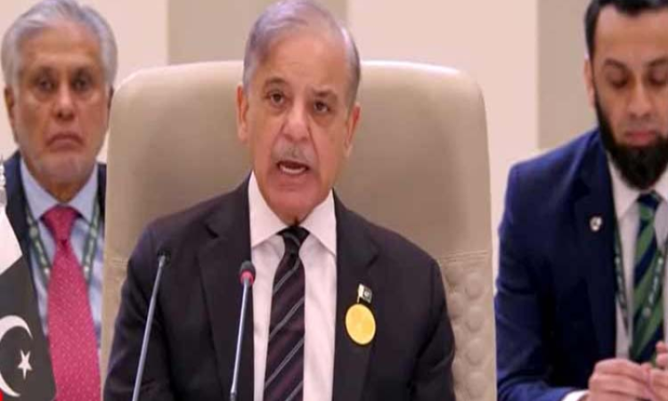 Palestinian humanitarian crisis ‘beyond imagination’: PM Shehbaz