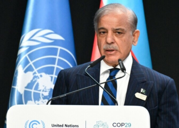 Pakistan urges climate justice, calls for grants over loans to support climate goals