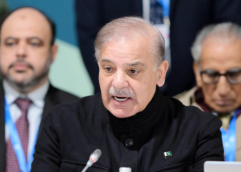 PM Shehbaz urges developed nations to lead climate action at COP29