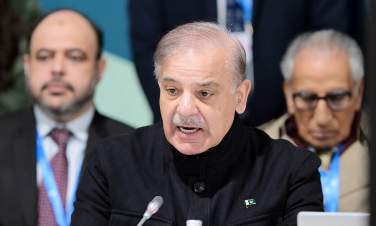 PM Shehbaz urges developed nations to lead climate action at COP29