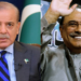 Zardari, Shehbaz reaffirm support for Palestinian right to self-determination