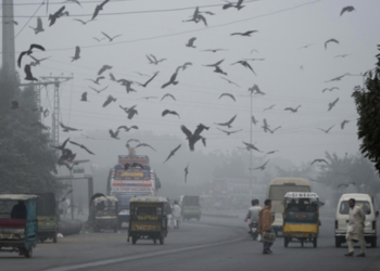 Lahore’s air quality improves