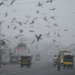 Lahore’s air quality improves