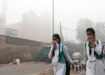 Schools in Punjab closed until Nov 17 as smog chokes the province