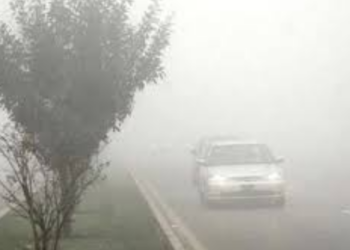 Fog forces closure of motorways across Punjab