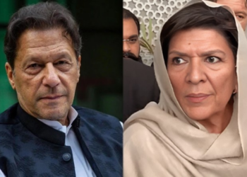 Imran Khan urges overseas Pakistanis to halt remittances: Aleema Khan