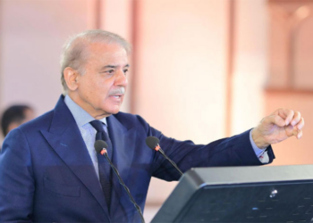 Govt committed to equal rights for all citizens: PM Shehbaz Sharif