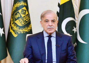 Shehbaz Sharif to represent Pakistan in D-8 Summit in Egypt