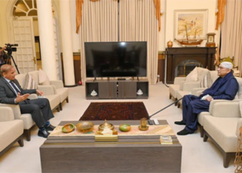 PM Shehbaz meets President Zardari to discuss political situation