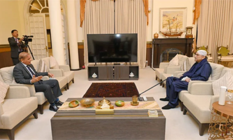 PM Shehbaz meets President Zardari to discuss political situation