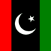 PPP parliamentary party rejects AJK Presidential Ordinance