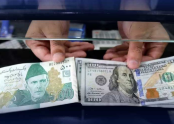 Dollar outflow surges by 112% in first 5 months of FY2024-25