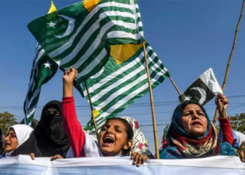 Pakistan reaffirms support for Kashmir on right to self-determination day