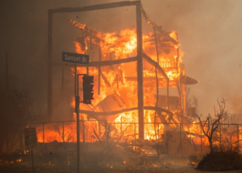 Massive Los Angeles fires rage on: Hollywood blaze contained, pacific palisades devastated