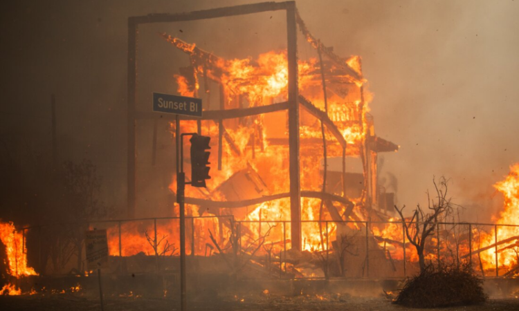 Massive Los Angeles fires rage on: Hollywood blaze contained, pacific palisades devastated