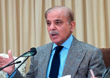 Economic growth tied to political stability: PM Shehbaz Sharif