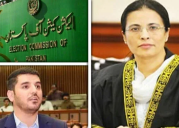 Justice Ayesha Malik criticizes ECP’s role in General Elections 2024