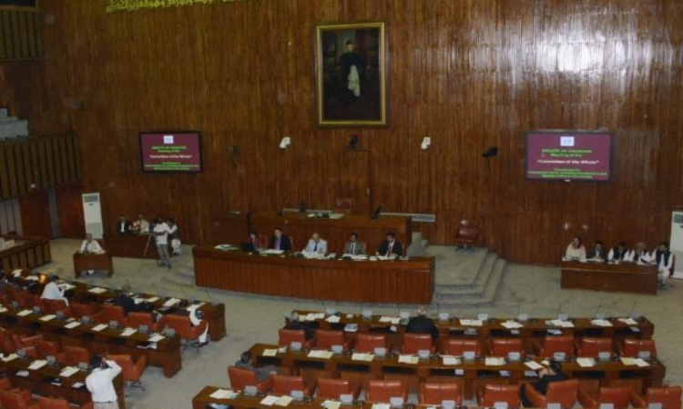 Senate approves PECA and Digital Nation Bills amid opposition uproar and journalists’ walkout