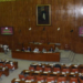 Senate approves PECA and Digital Nation Bills amid opposition uproar and journalists’ walkout