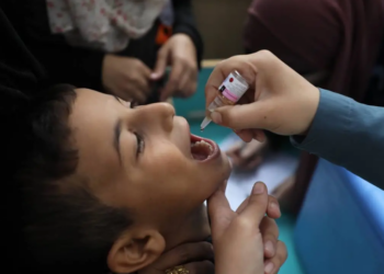 WHO to launch mass polio vaccination campaign in Gaza