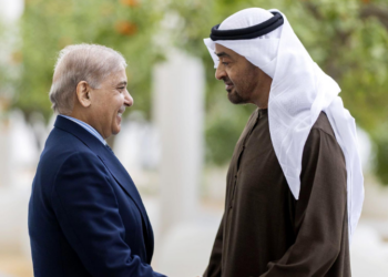 PM Shehbaz, UAE President discuss deepening bilateral cooperation