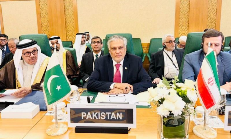 Ishaq Dar: forcible relocation of Palestinians is ethnic cleansing and a war crime