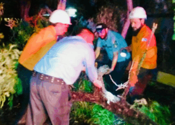 CDA mobilizes emergency teams amid rain emergency in Islamabad