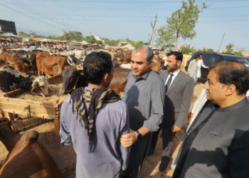Interior minister Mohsin Naqvi visits Expressway cattle market, orders fee reduction and facility improvements