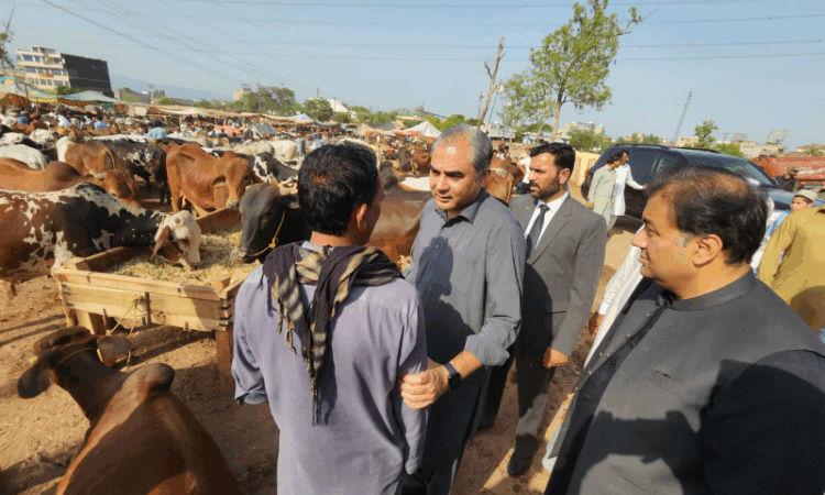 Interior minister Mohsin Naqvi visits Expressway cattle market, orders fee reduction and facility improvements
