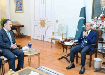 Pakistan responding responsibly amid India’s provocations post-Pahalgam incident- PM Shehbaz