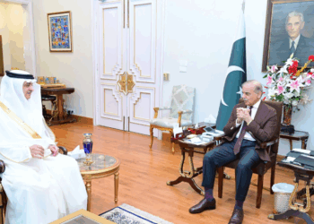 PM urges Saudi Arabia, brotherly nations to help defuse regional tensions