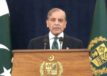 PM Shehbaz hails armed forces, declares ceasefire a victory for the nation
