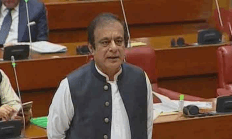 Shibli Faraz slams govt for excluding opposition from peace delegation
