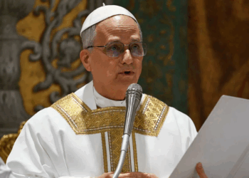 Pope Leo XIV urges humanitarian access to Gaza in first general audience