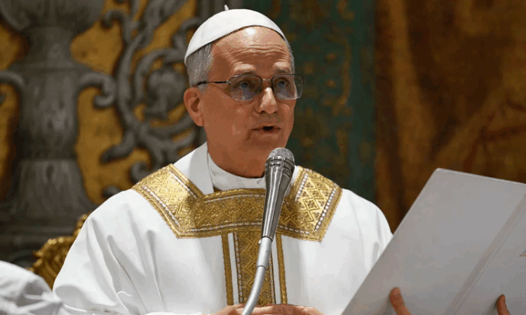 Pope Leo XIV urges humanitarian access to Gaza in first general audience