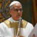 Pope Leo XIV urges humanitarian access to Gaza in first general audience
