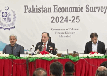 Economic Survey 2024-25: growth target missed amid surging remittances, easing inflation
