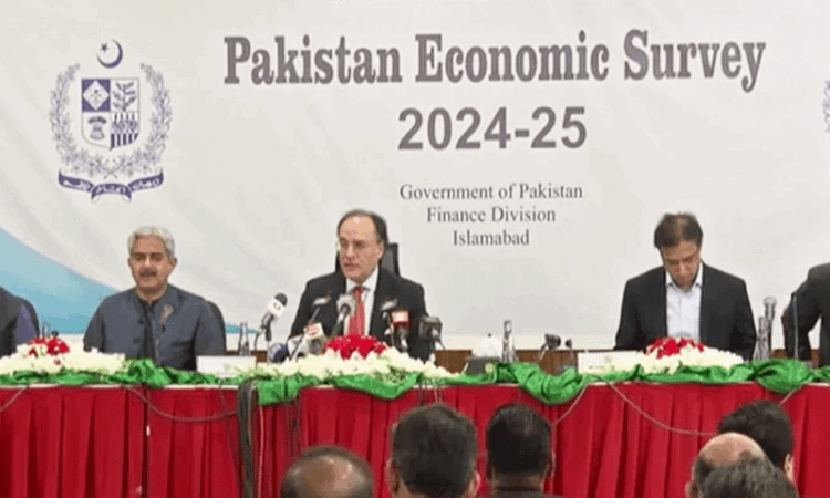 Economic Survey 2024-25: growth target missed amid surging remittances, easing inflation
