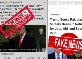 India accused of spreading fake news to mask diplomatic setbacks